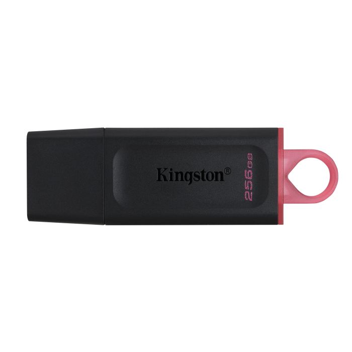 MEMORIA FLASH KINGSTON 256 GB USB 3.2 GEN 1 (DTX 256GB)