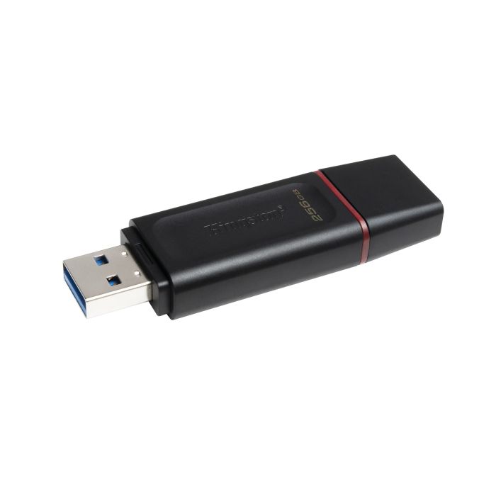 MEMORIA FLASH KINGSTON 256 GB USB 3.2 GEN 1 (DTX 256GB)