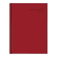 LIBRO ESTRELLA MANAGER FRANCESA BI RAYADO 96 HJS