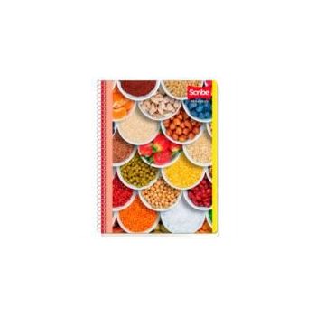 CUADERNO SCRIBE PROFESIONAL MEGA RAYA 100 HOJAS