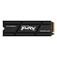KINGSTON TECHNOLOGY 2000G RENEGADE PCIE 4.0 NVME SSD W DIFUSOR TÉRMICO