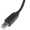 StarTech.com 6 ft USB 2.0 Certified A to B Cable - M M