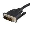 StarTech.com 10ft (3m) DisplayPort to DVI Cable - DisplayPort to DVI Adapter Cable 1080p Video - DisplayPort to DVI-D C