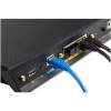 StarTech.com 100 Pack RJ45 Dust Covers - Reusable RJ45 Blanking Plug  Dust Cap - Ethernet LAN Port Protector  Blocker -