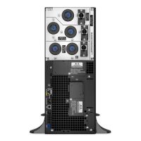 APC SRT6KXLT SISTEMA DE ALIMENTACIÓN ININTERRUMPIDA (UPS) DOBLE CONVERSIÓN (EN LÍNEA) 6 KVA 6000 W 6 SALIDAS AC