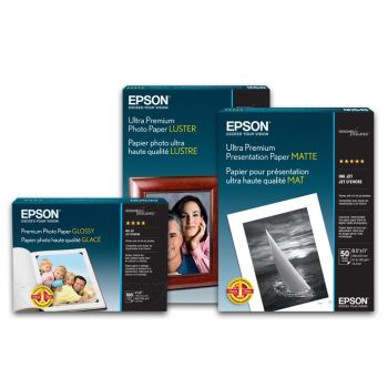 PAPEL EPSON STANDARD PROOFING (240) 17X100